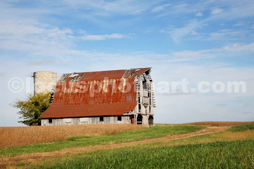 J14_Dairy_Barn_2327_cc.jpg