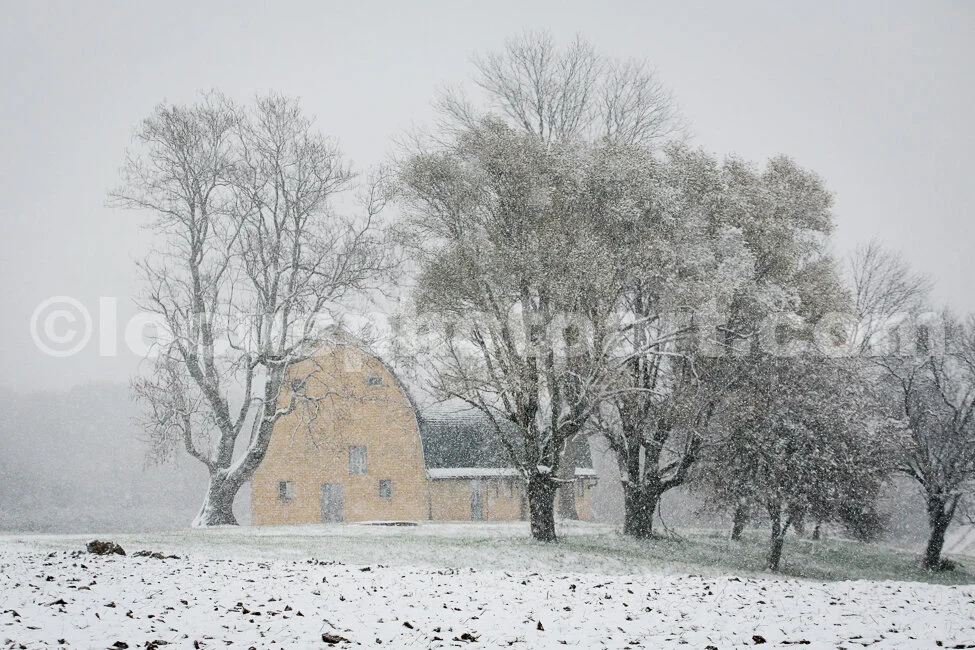 J14_Snow_Scene_Dairy_Barn_7537ed.jpg