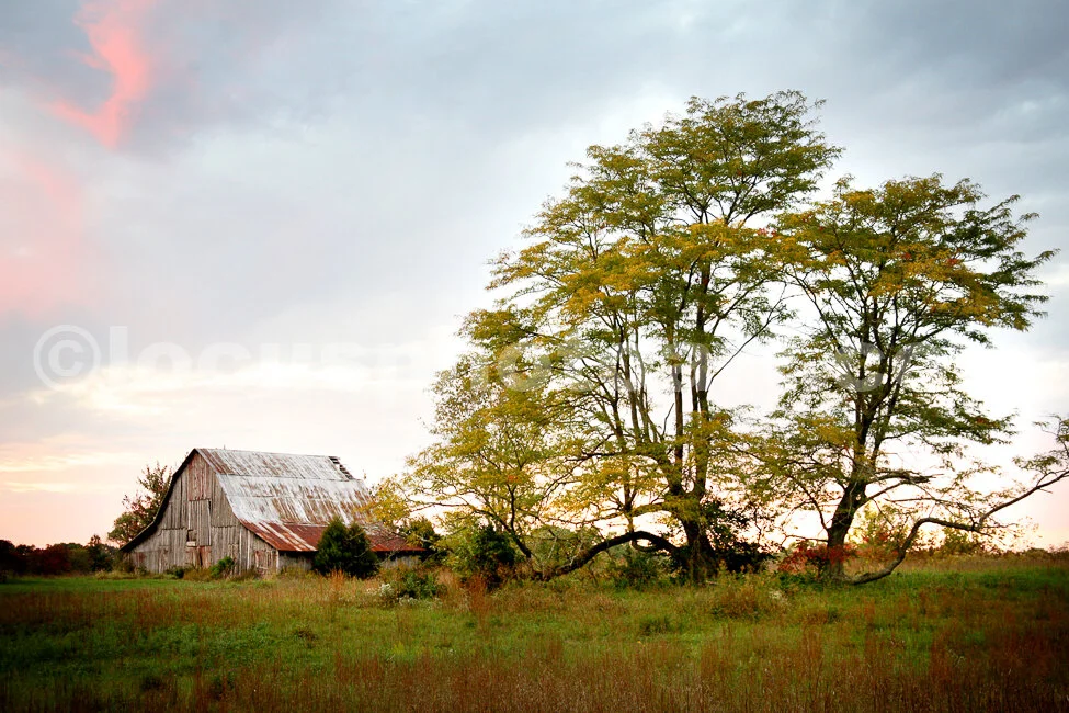 J17_Cantrell_Barn_9249_ccML.jpg