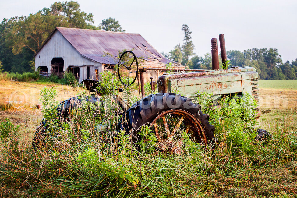 J19_Deere_and_Barn_at_Dawn_0684.jpg