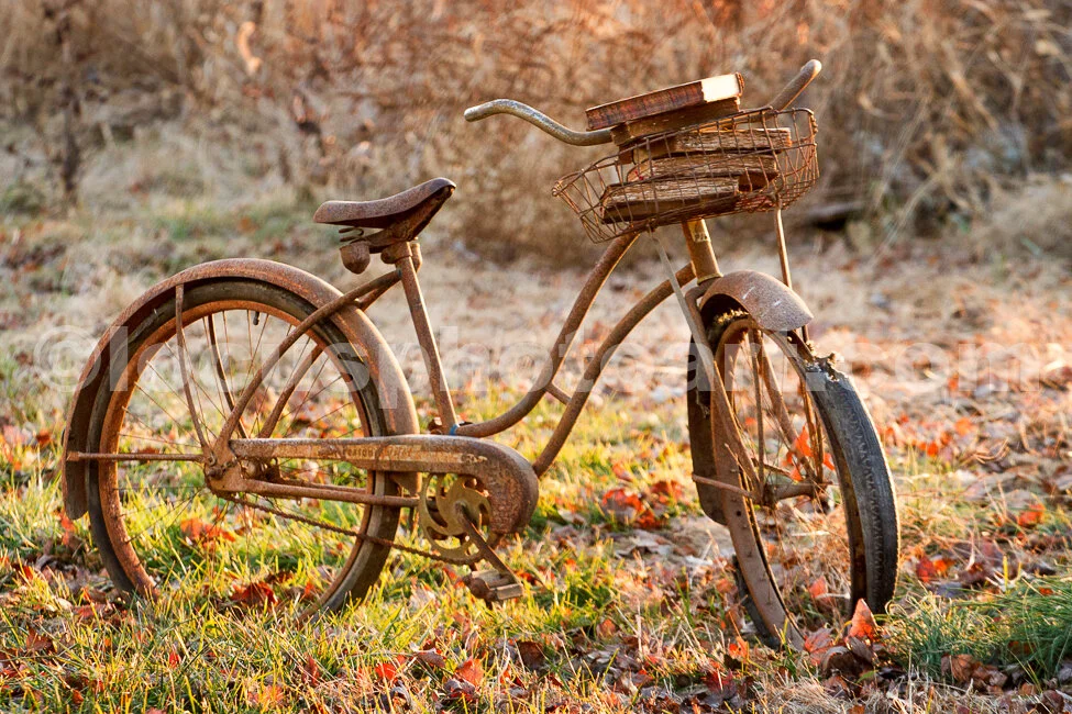 J16_Bicycle_with_Books_in_the_Basket_4672.jpg