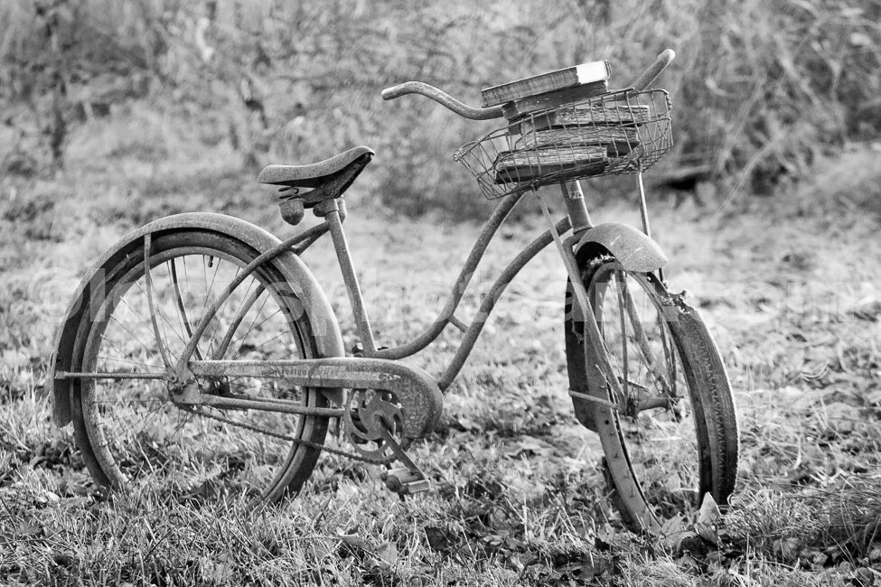 J16_Bicycle_with_Books_in_the_Basket_4672_BW.jpg