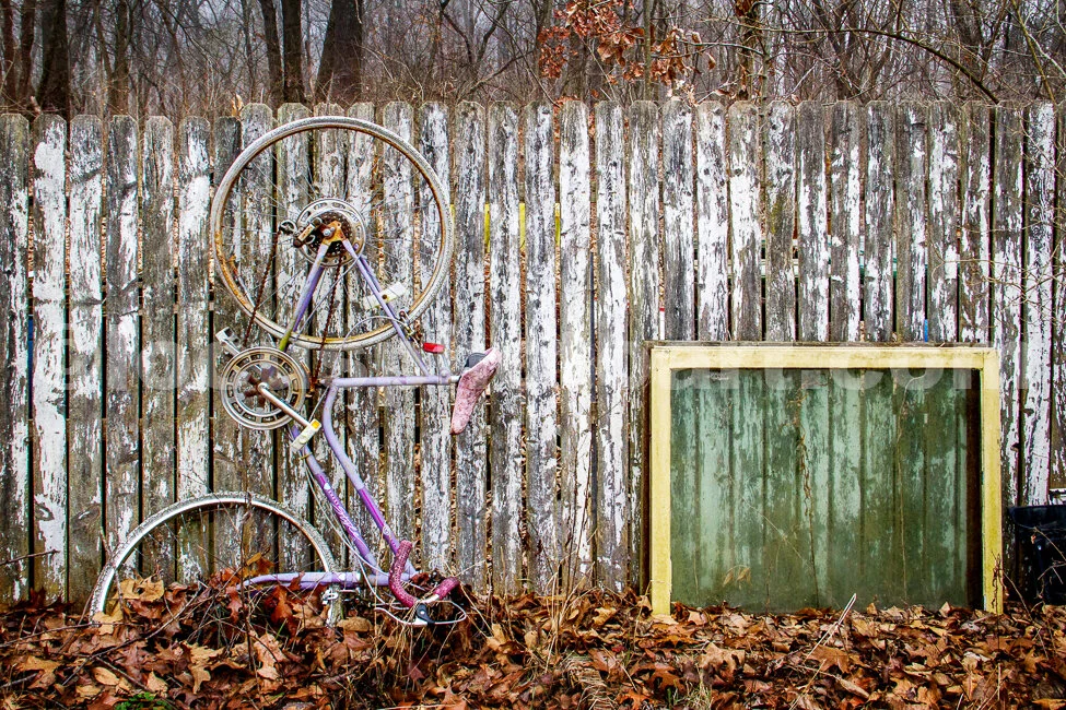 J17_Bicycle_and_Window_on_Fence_5135.jpg