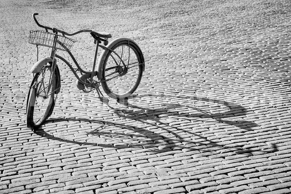 M16_Bicycle_from_Another_Time_5087_BW.jpg