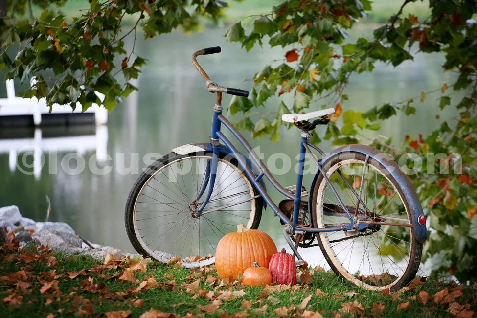J15_Bicycle_I_6595_Edited_.jpg