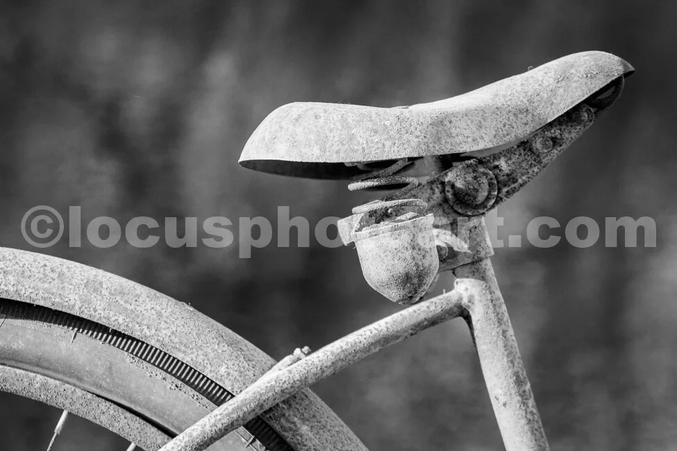 J16_Bicycle_Seat_and_Fender_4372_BW.jpg