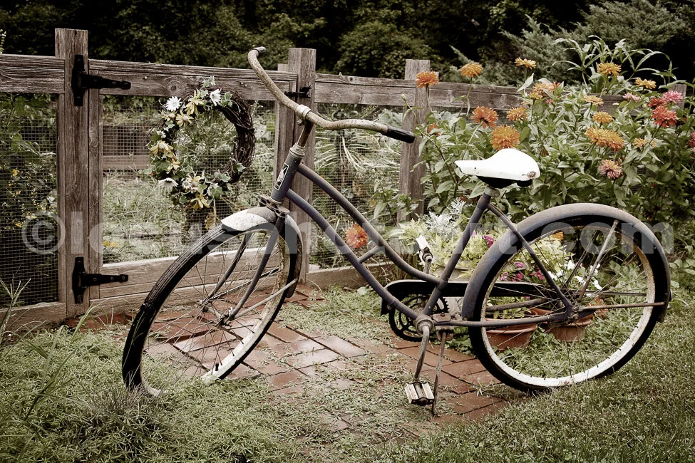 J14_Bicycle_9681_LSSepia.jpg