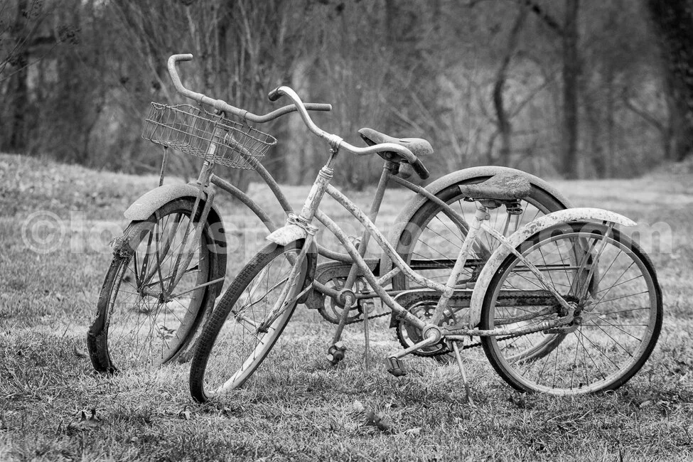 J16_Rusty_Cousins_4220_BW.jpg