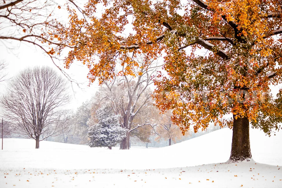 J18_November_Snow_at_the_Mounds_3564.jpg