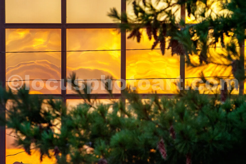 J20_Reflections_of_a_New_Day_8465.jpg