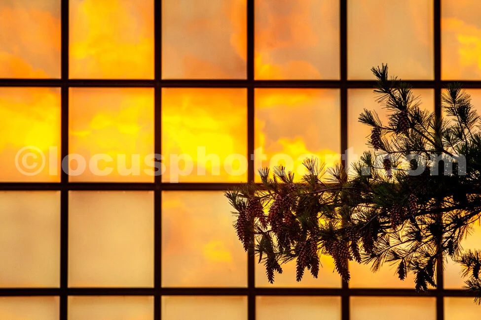 J20_Reflected_Summer_Dawn_8459.jpg
