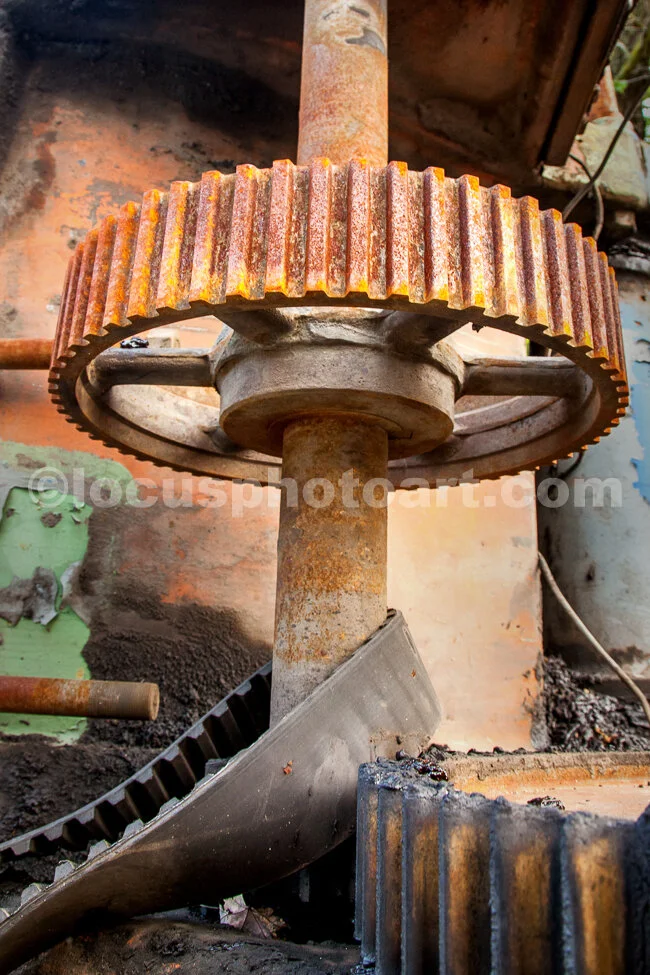 J20_Slipped_Belt_9017.jpg