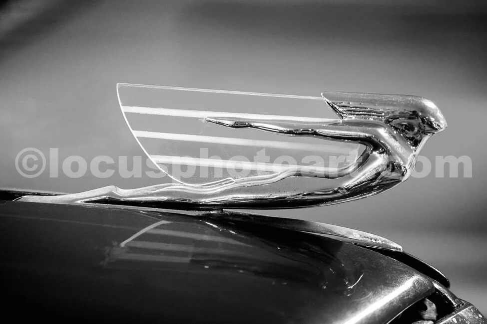 J20_Flying_Hood_Ornament_8240_BW.jpg