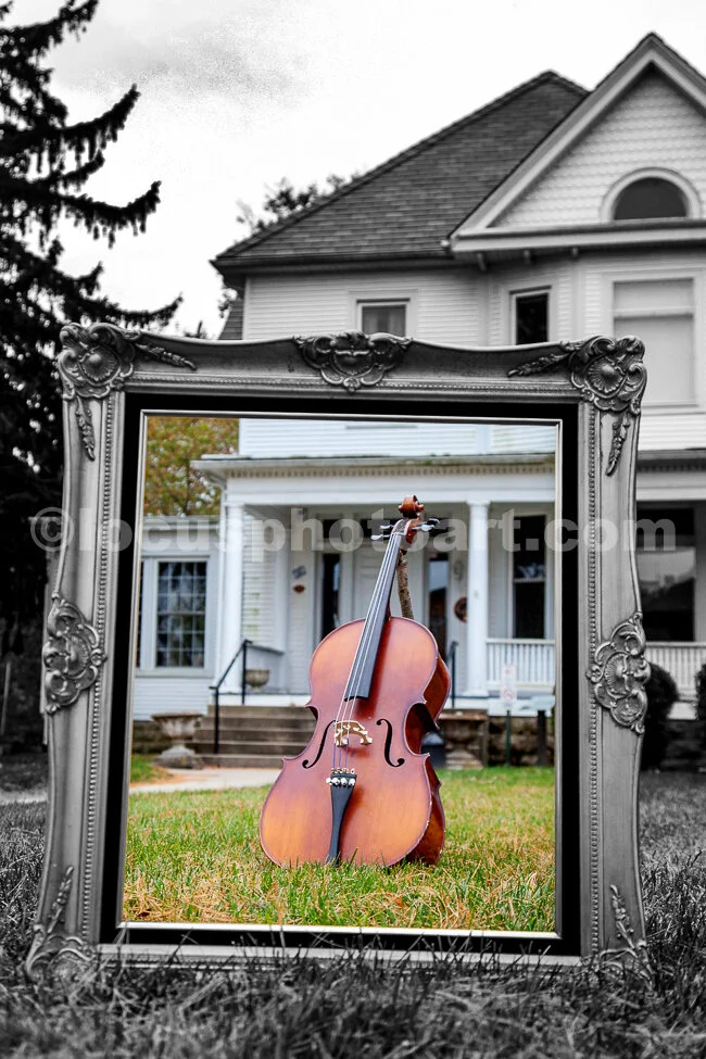 J20_Cello_Portrait_0851.jpg