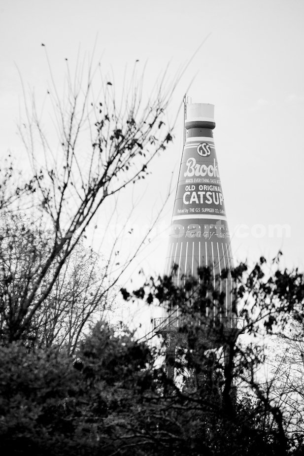 J15_Catsup_Bottle_11-05-15_1917_BW.jpg