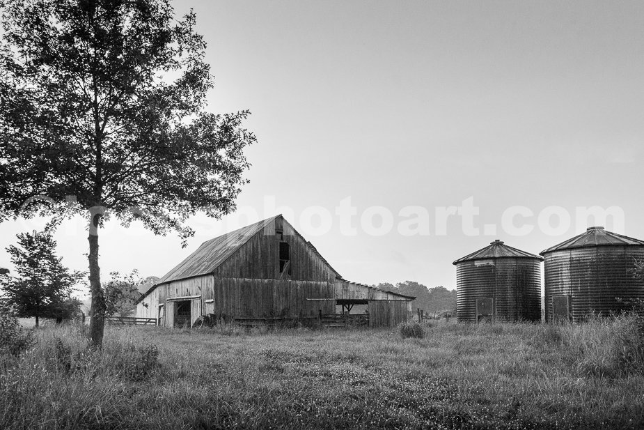 J19_Iuka_Summer_Morning_9311_BW.jpg