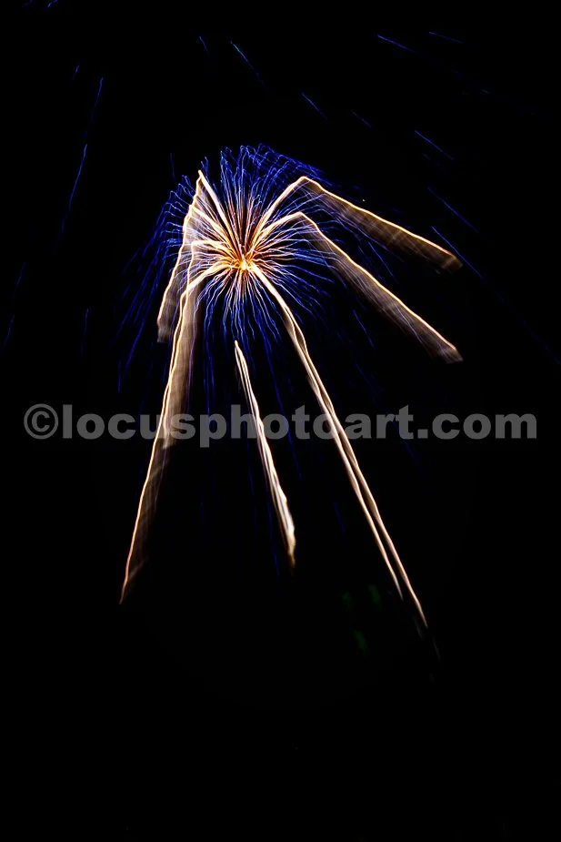 J24_Fireworks_Spider_4159.jpg