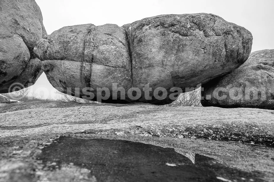 J21_Elephant_Rock_and_Friends_6334_BW.jpg