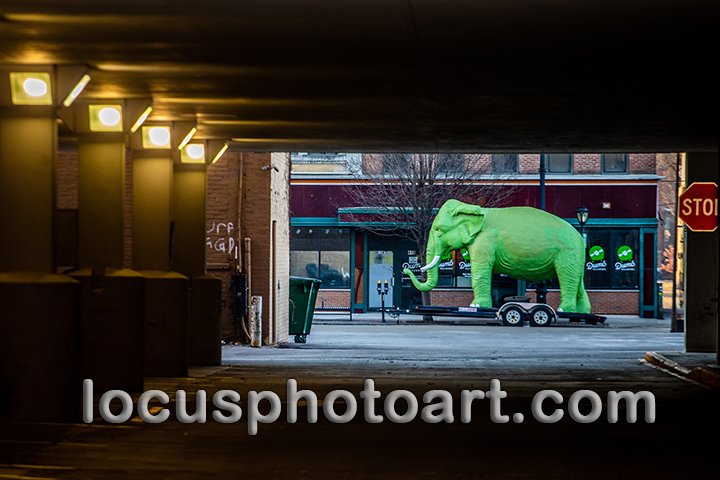 J22 Elephant on East Monroe 0861 FB.jpg