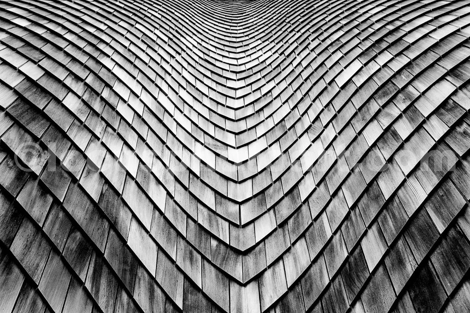 J19_Wavy_Shake_Roofline_5426_BW.jpg