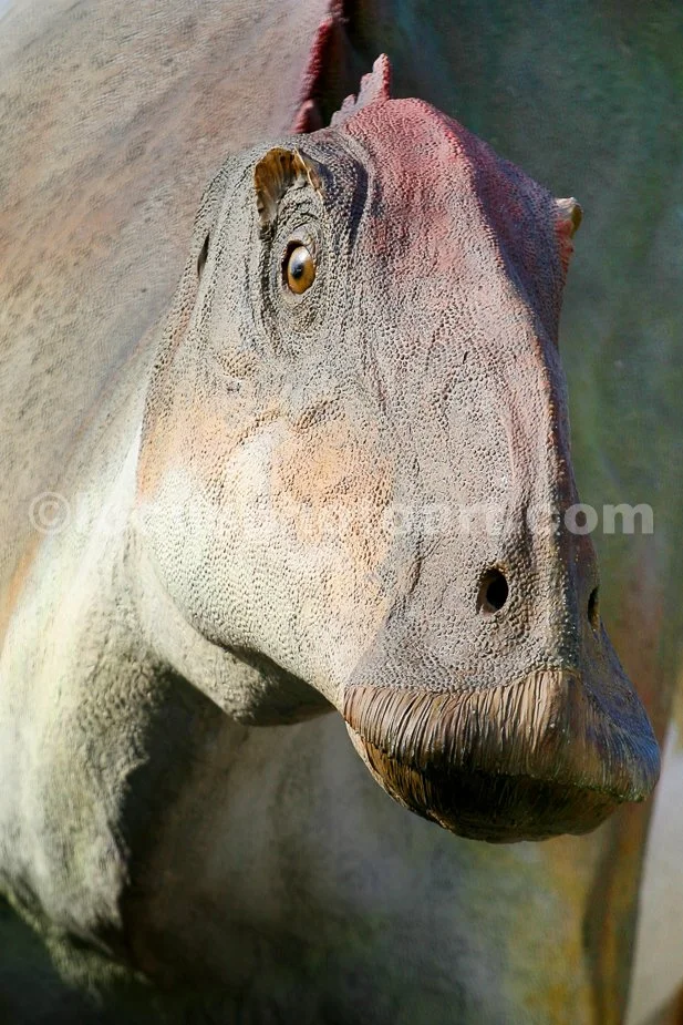 J16_Dinosaur_Face_0693.jpg