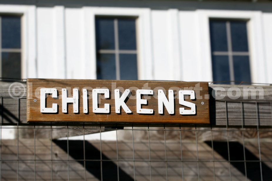 Sign_Chickens_3908_cc.jpg