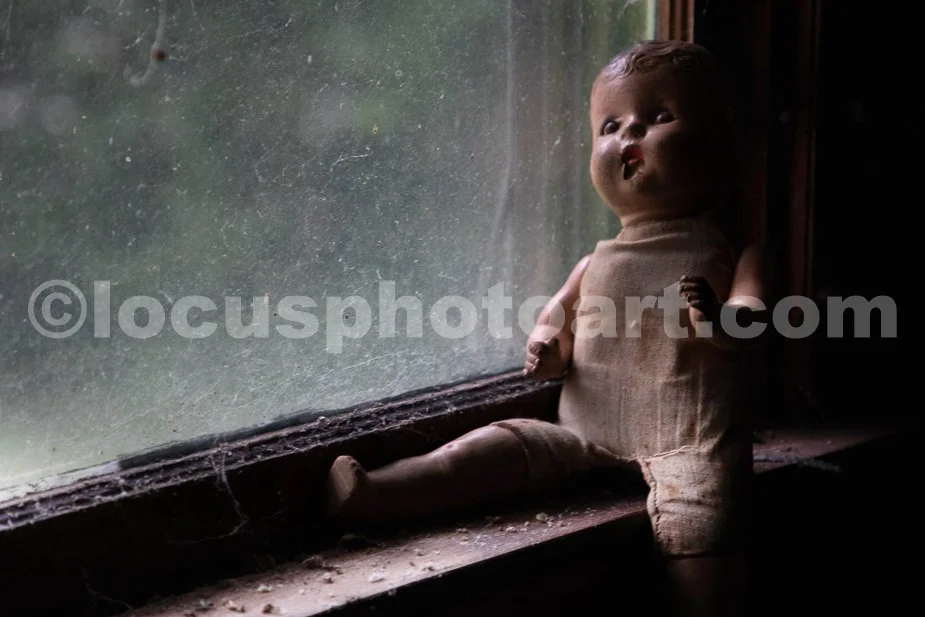 J23_Sitting_on_the_Window_Sill_3918.jpg