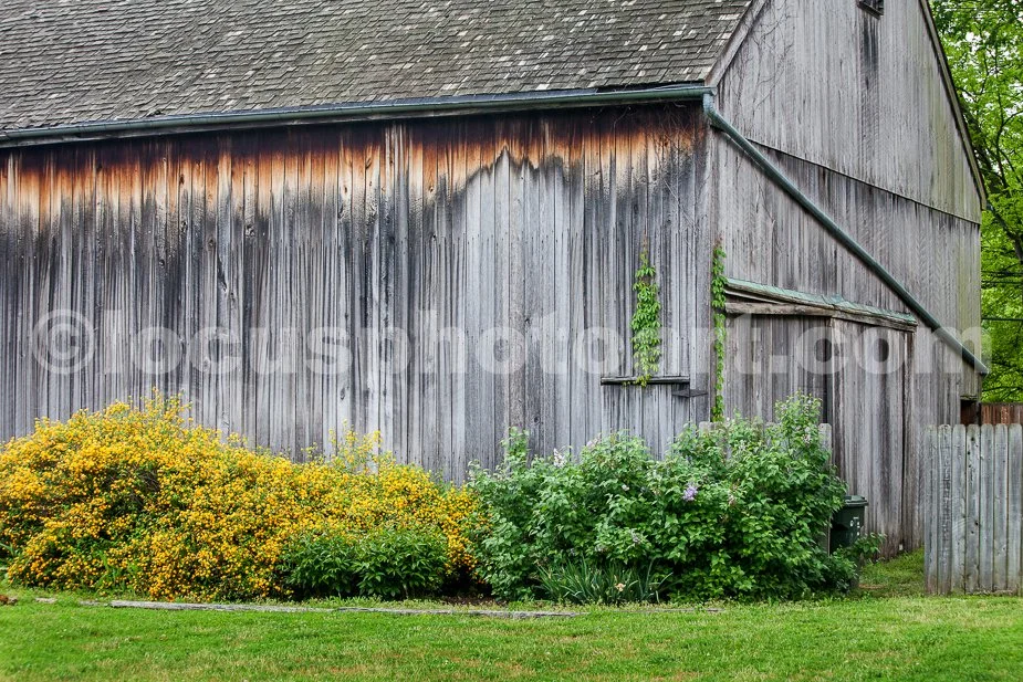 J19_Barn_in_the_Backyard_0307.jpg
