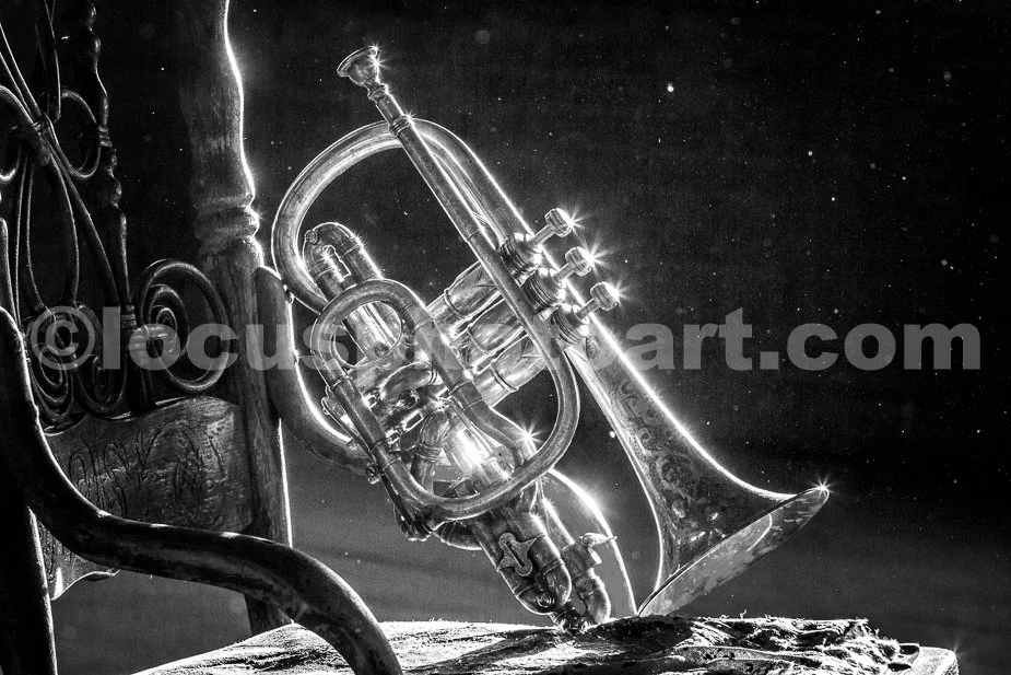 J17_Bentwood_and_Brass_7637_BW.jpg