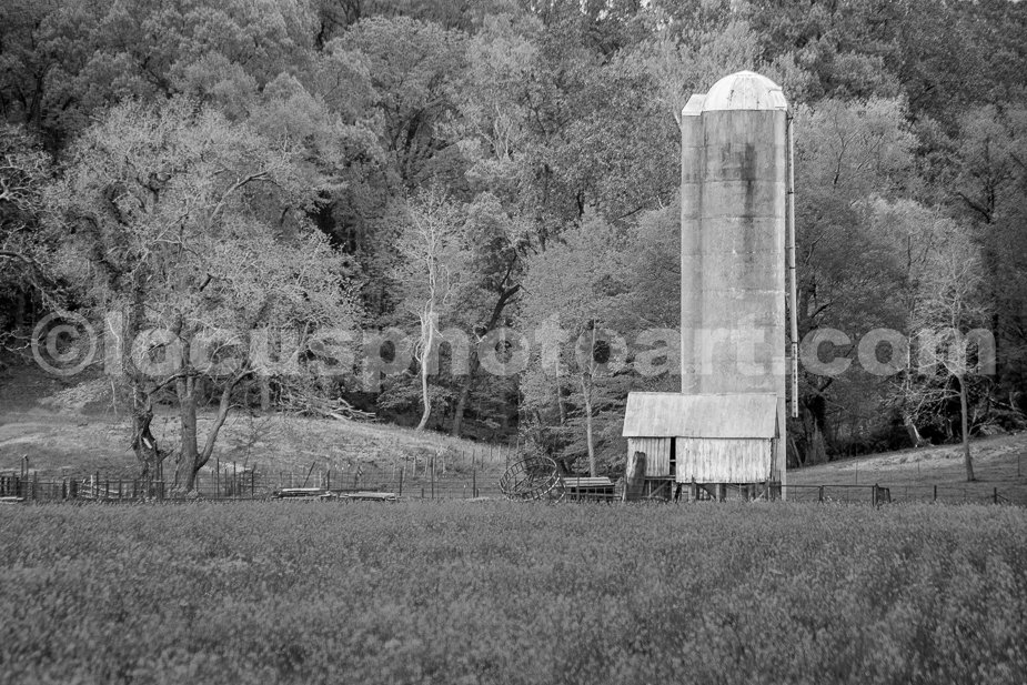 J19_Yellow_Fields_and_Silo_0422_BW.jpg