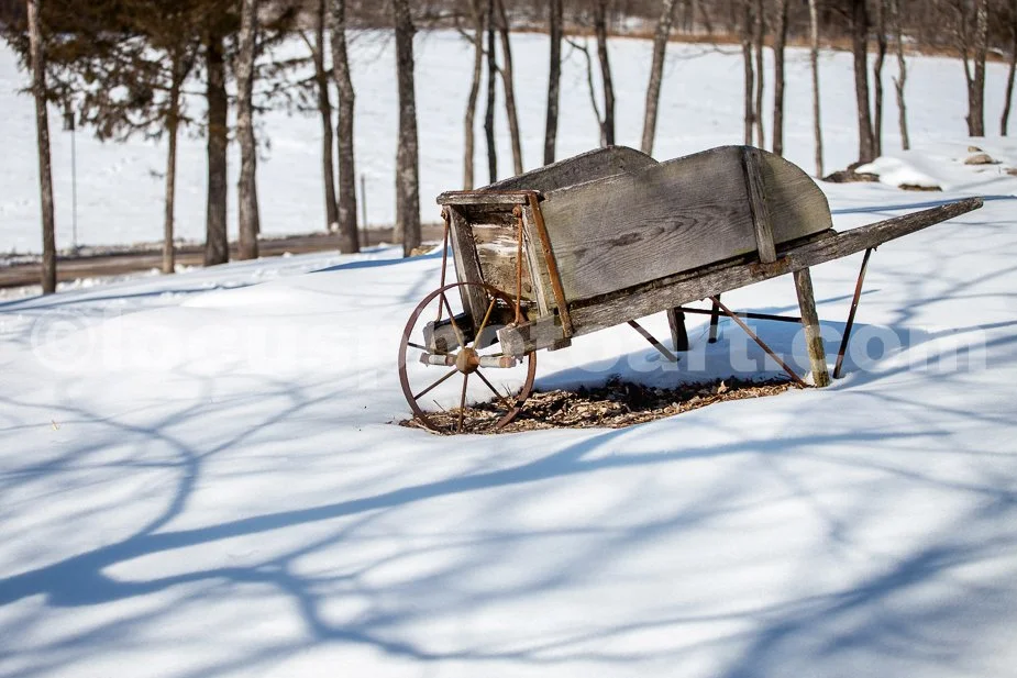 J21_Winter_Wheelbarrow_5311.jpg