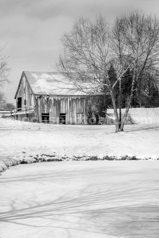 J21_Barn_on_Frozen_Pond_4758_BW.jpg