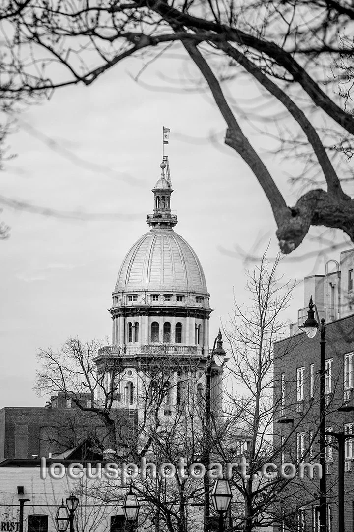 J22 View from the Lincoln Home 8487 BW FB.jpg