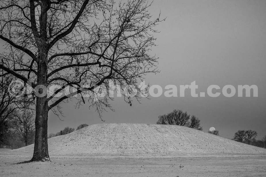 J21_January_Moonset_at_the_Mounds_4110_BW.jpg