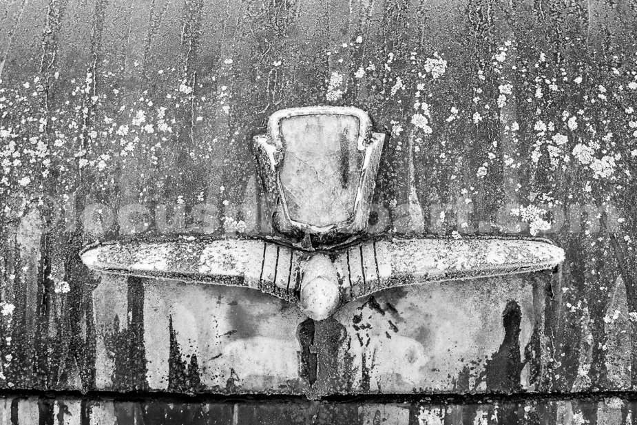 J23_Colorful_Ford_Trunk_Lid_2755_BW.jpg
