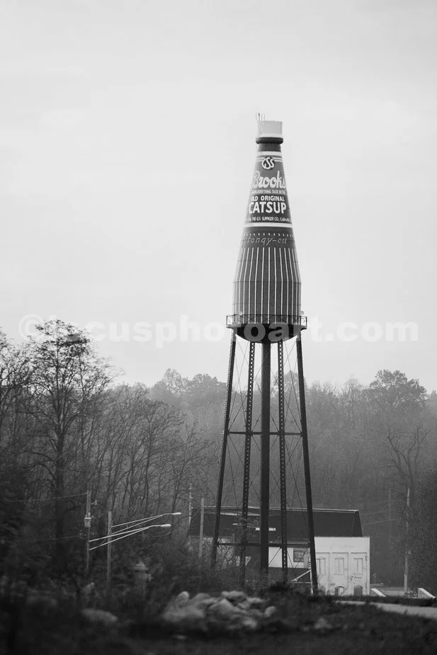 J15_Catsup_Bottle_Dawn_1886_BW.jpg