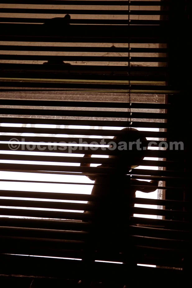 J23_Peeking_Through_the_Blinds_3894.jpg
