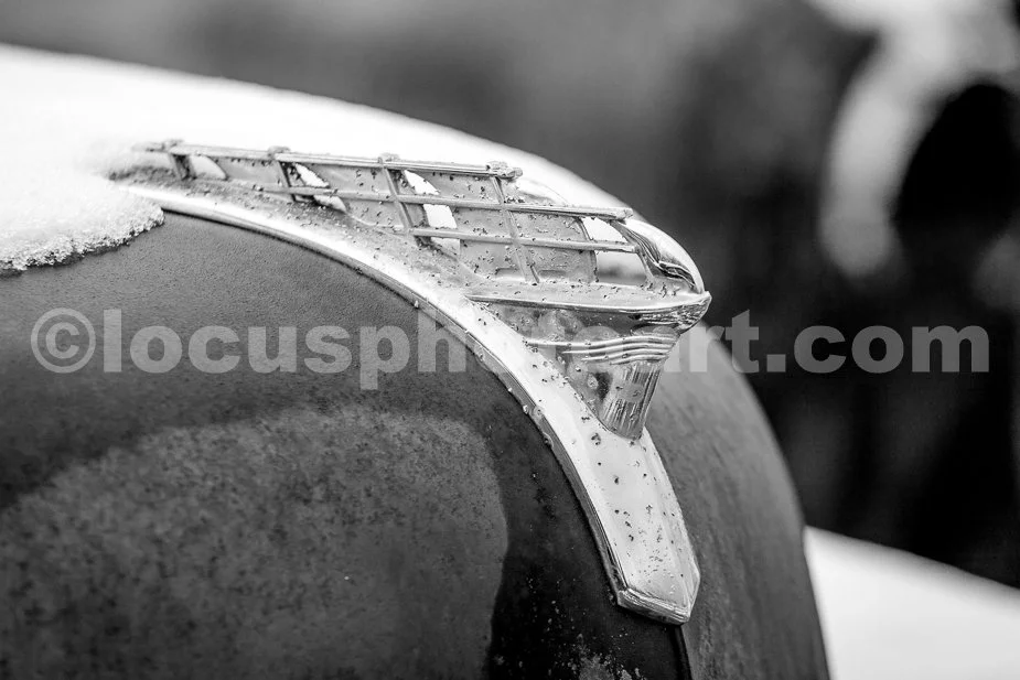 J21_Frozen_Hood_Ornament_3780_BW.jpg