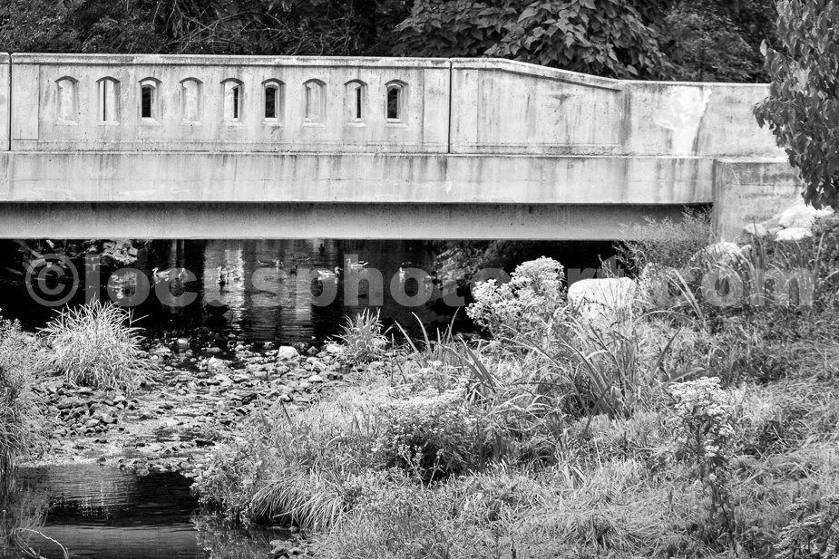 J21_Pleasant_Creek_Under_Meridian_3119_BW.jpg