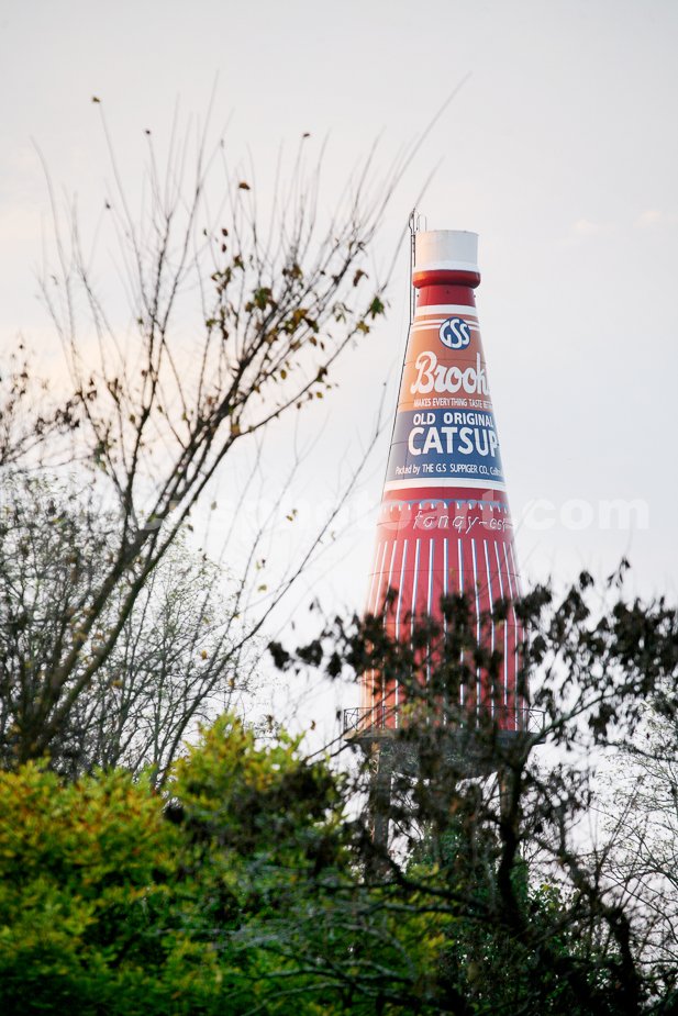 J15_Catsup_Bottle_11-05-15_1917.jpg