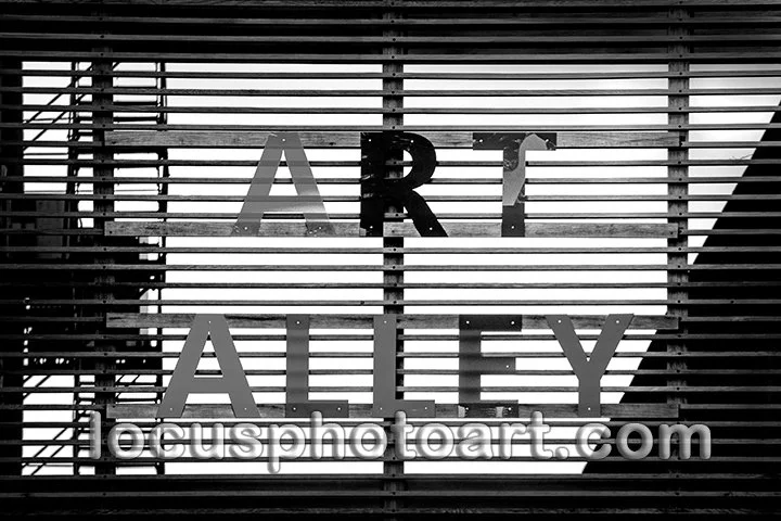 J22 Art Alley 0793 BW FB.jpg