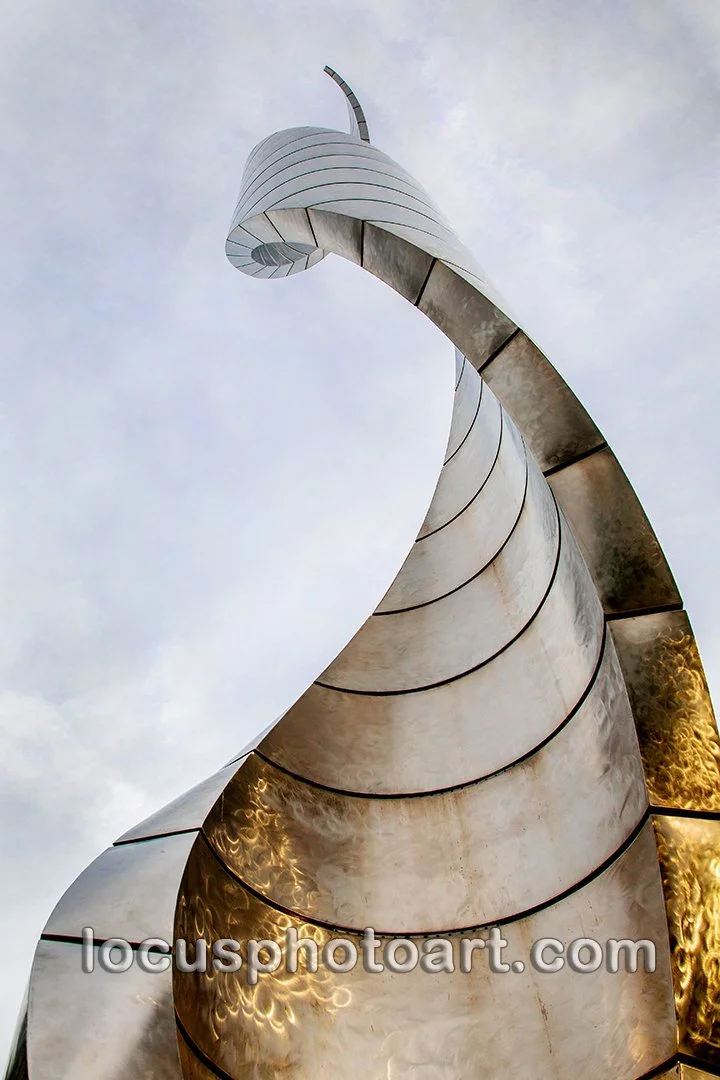 J21 Reaching for Heaven 7469 FB.jpg