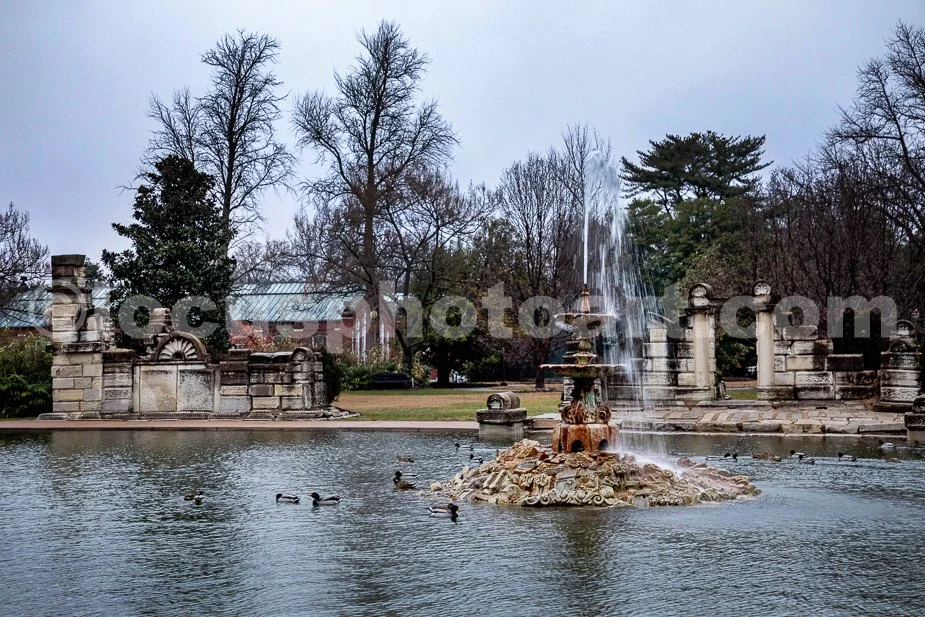 J24_Ducks_and_Fountain_at_Tower_Grove_2986.jpg