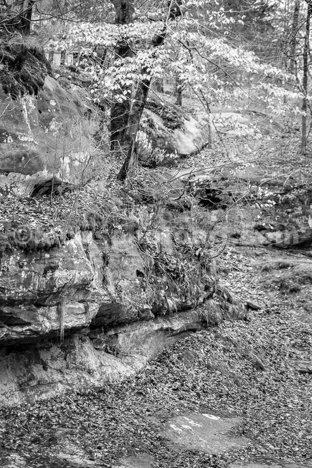 J23_Rocky_Winter_Hillside_2143_BW.jpg