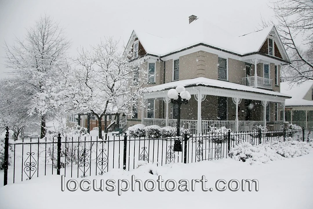 WEB J13 N. Morrison 6335 cc.jpg