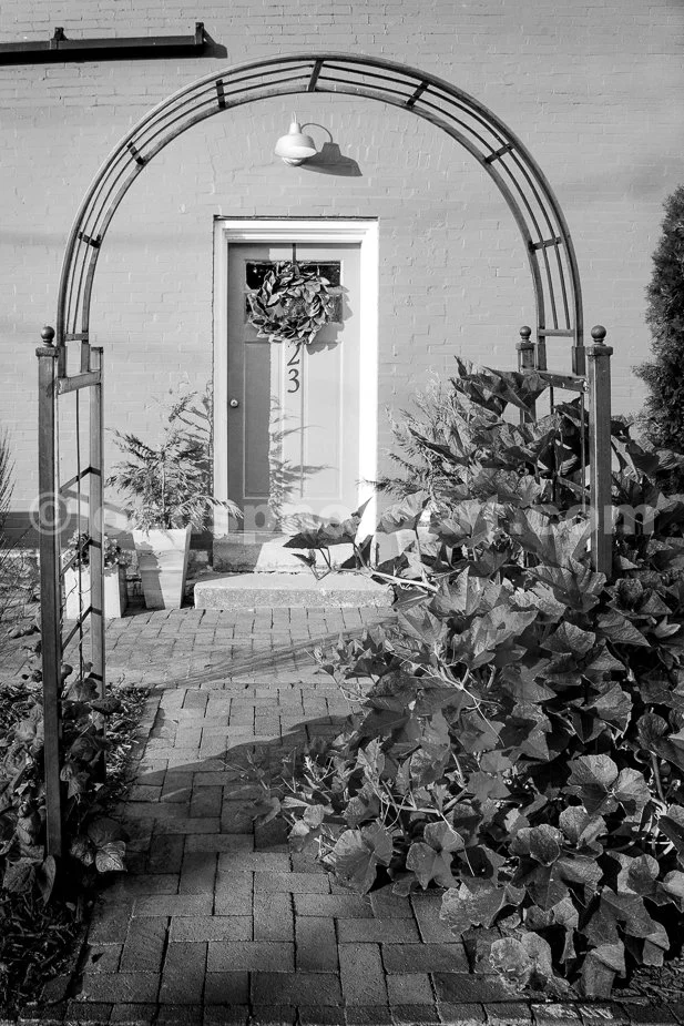 M16_Entryway_Arbor_0336_BW.jpg