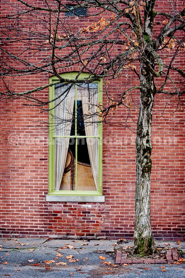 J19_The_Green_Window_5696.jpg