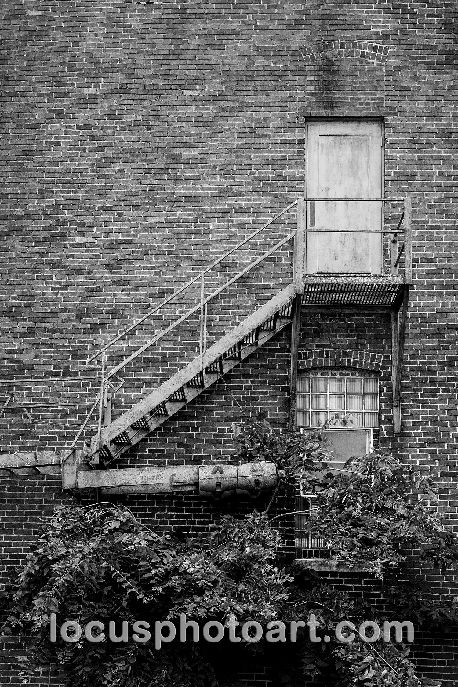 WEB J24 Escape to the Urban Jungle 0087 BW.jpg