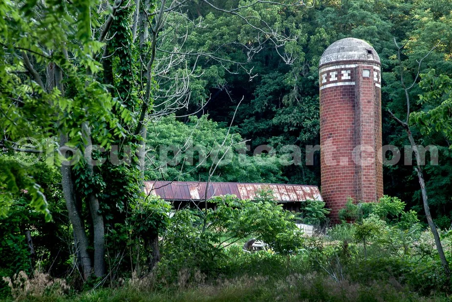 J24_Brick_Silo_in_the_Woods_9598.jpg