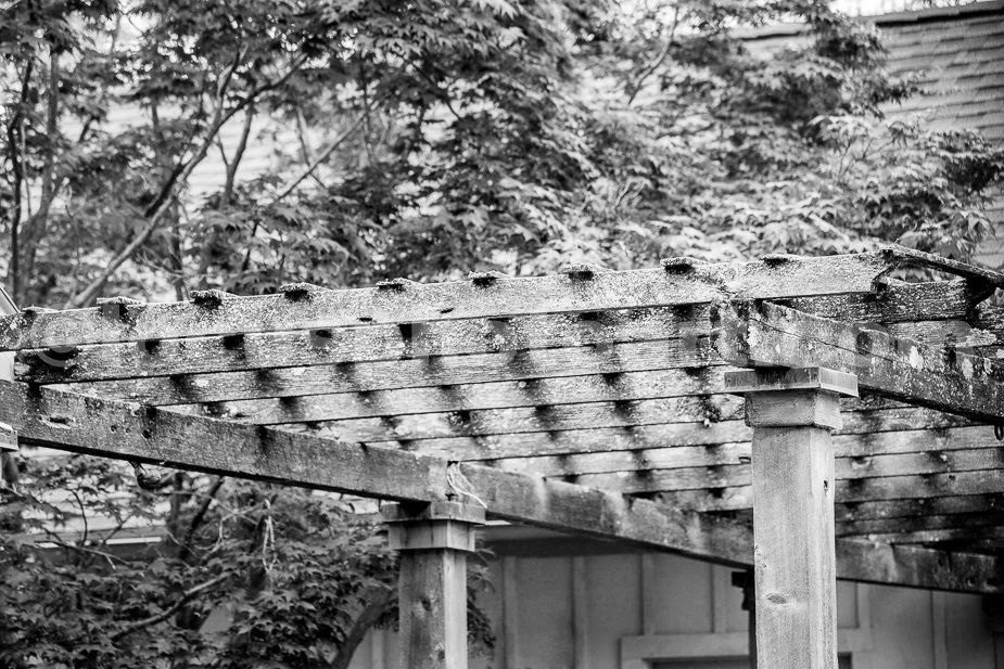 J19_Rustic_Pergola_0405_BW.jpg